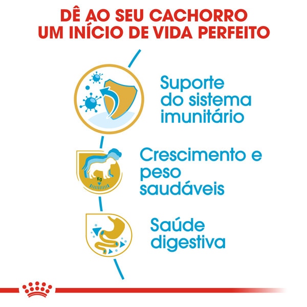 Ração para Cão Labrador Retriever Junior a Partir dos 15 Meses embalagem 12 kg