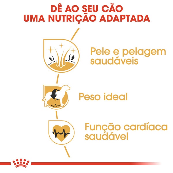 Ração para Cão Cocker Adulto a Partir dos 12 Meses embalagem 3 kg