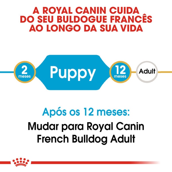 Ração para Cão Bulldog Francês Junior até aos 12 Meses embalagem 3 kg