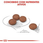 Ração para Cão Digestive Care Mini embalagem 8 kg