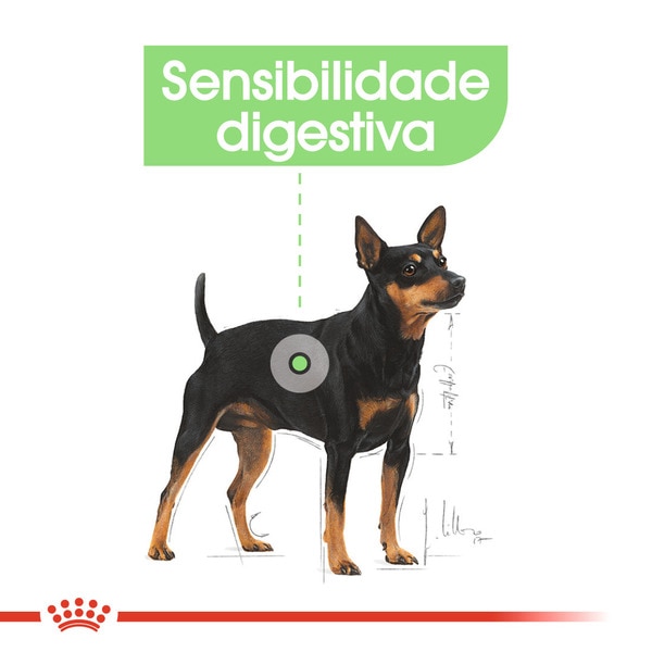 Ração para Cão Digestive Care Mini embalagem 8 kg