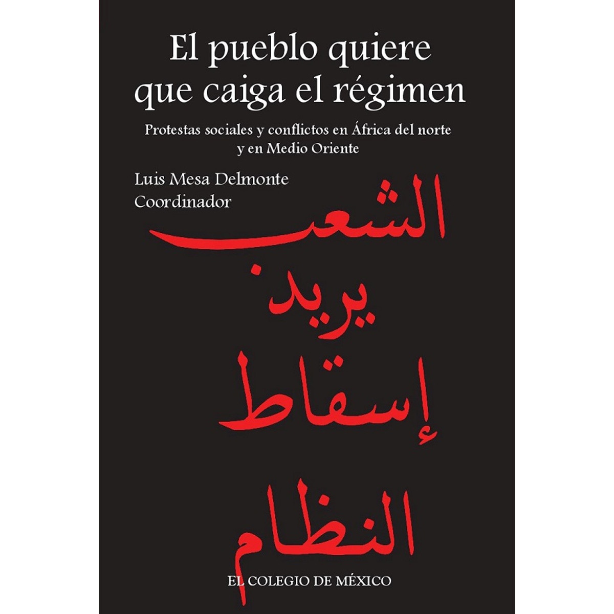 El pueblo quiere que caiga el régimen 1