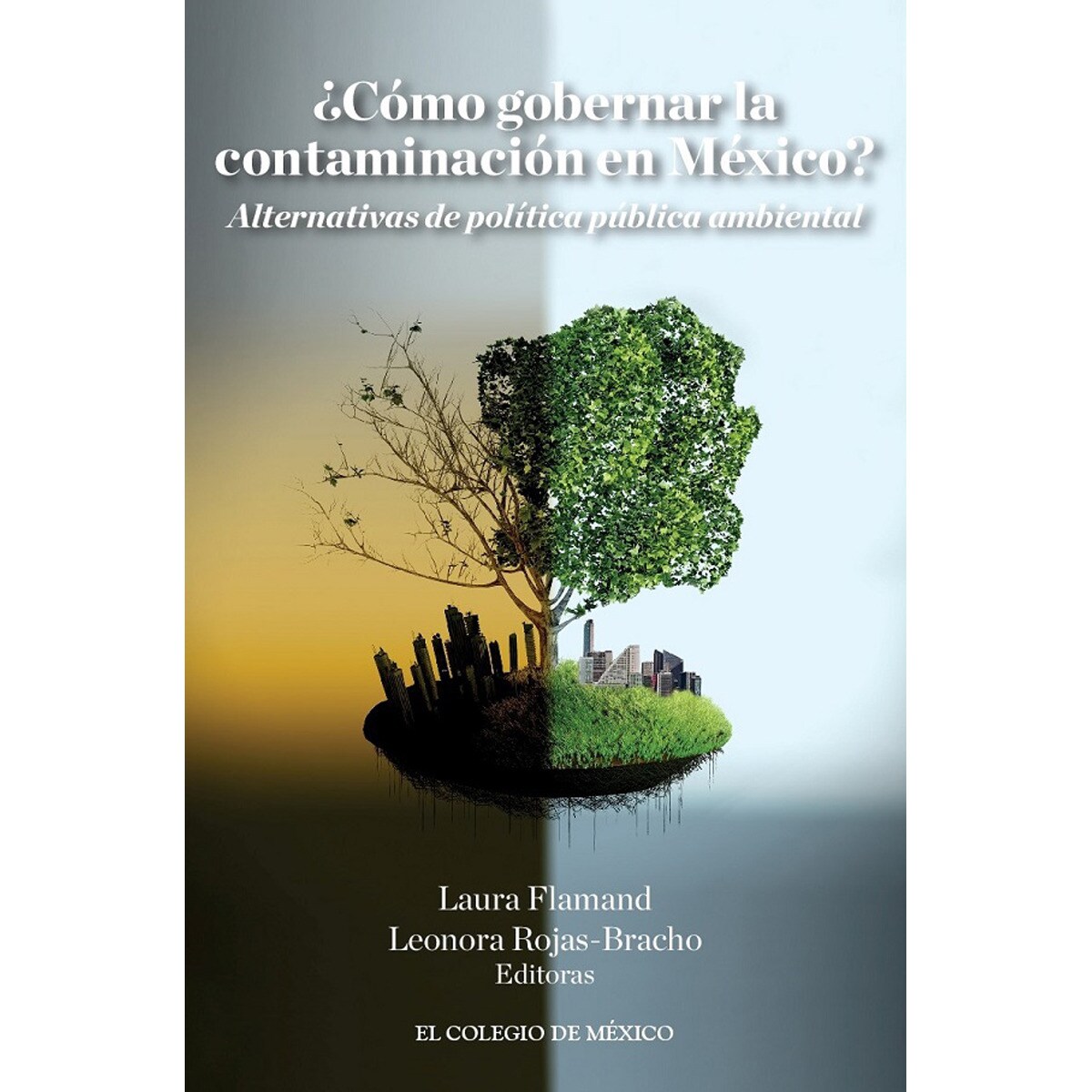 ¿cómo gobernar la contaminación en méxico? 1