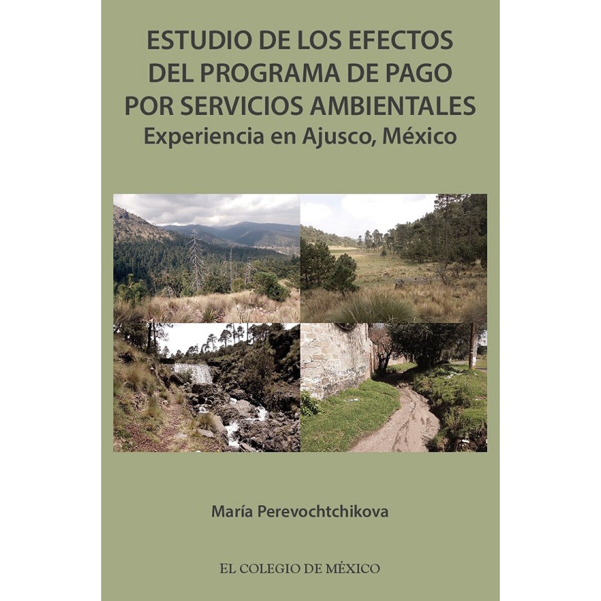 Estudio de los efectos del programa de pago por se 1