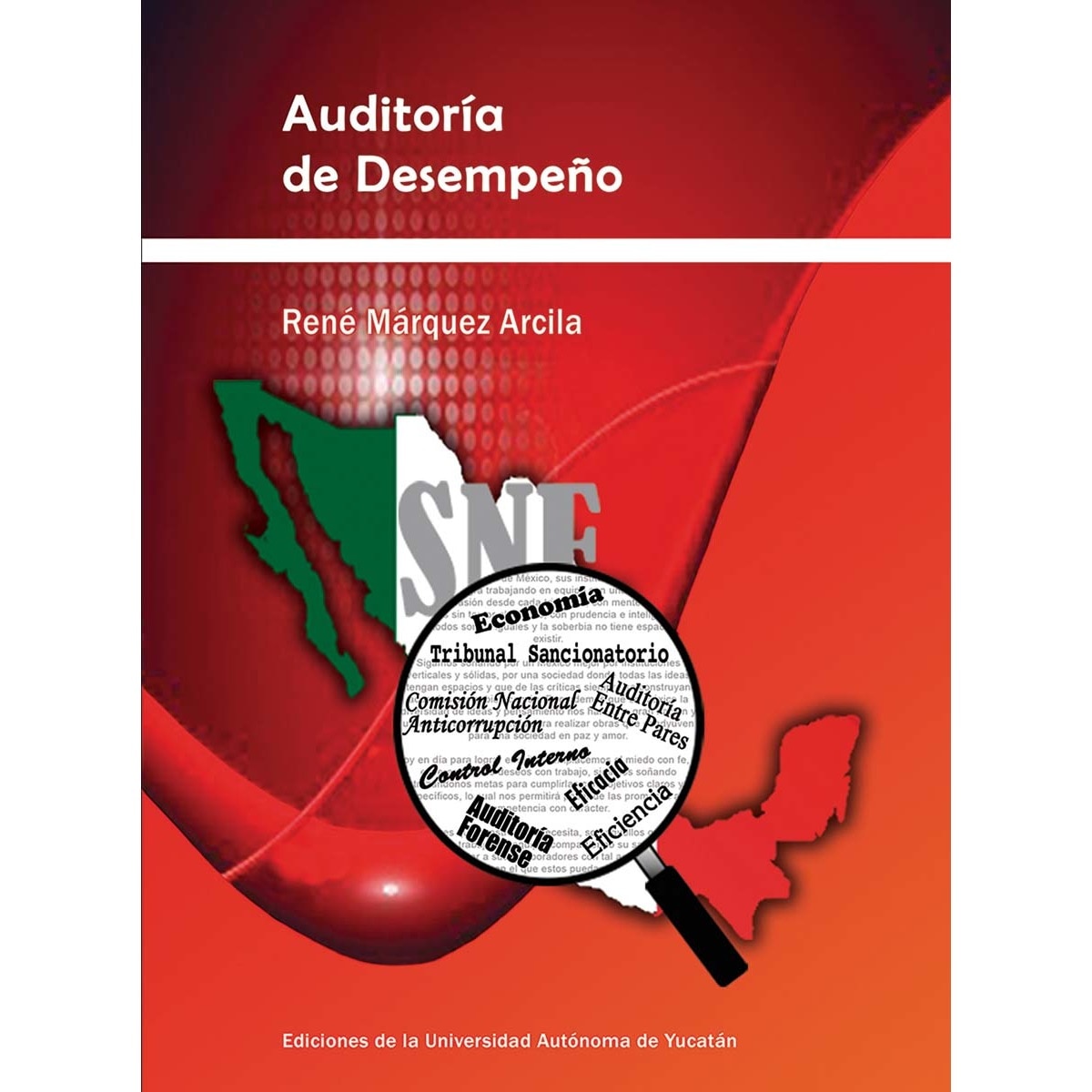 Auditoría de desempeño 1