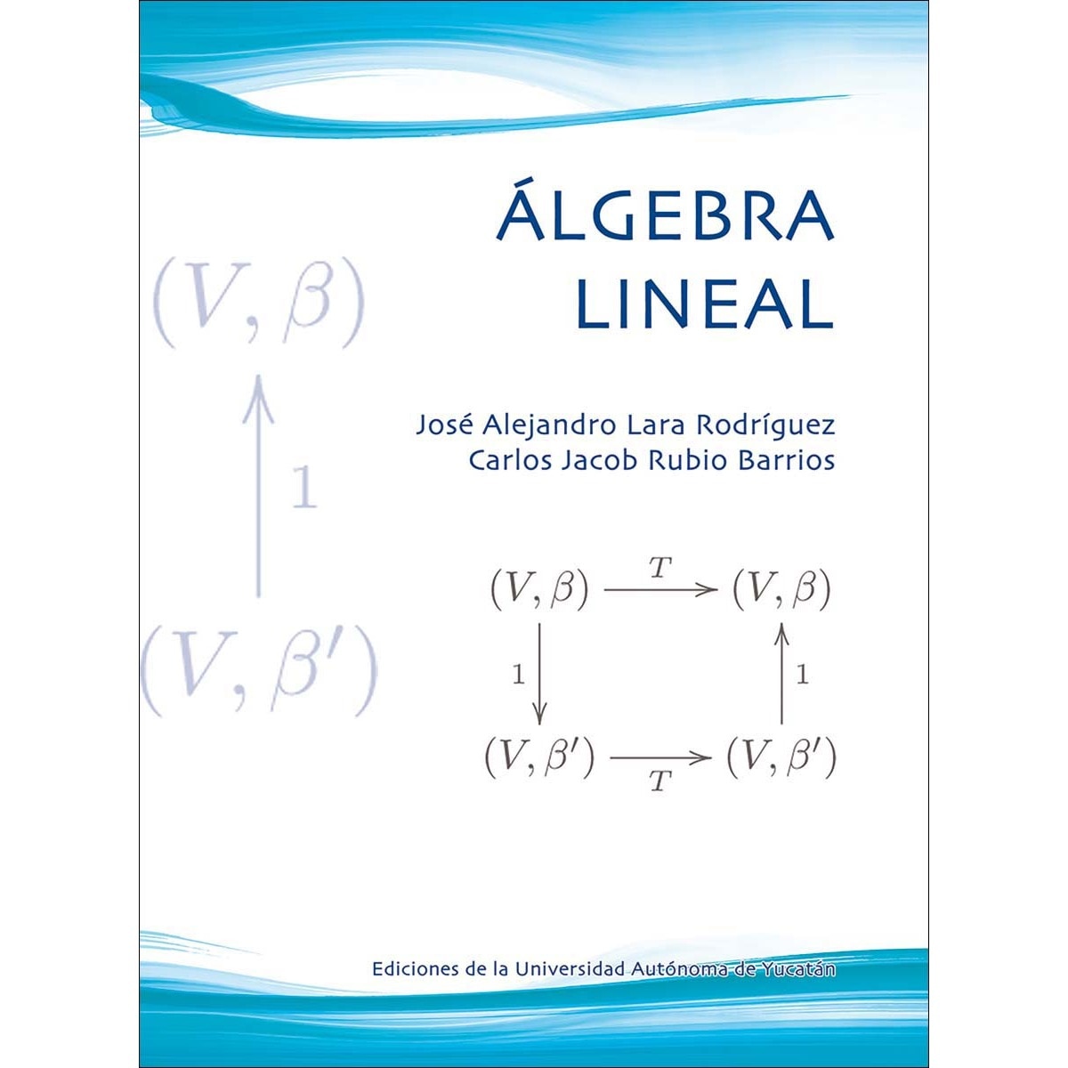 Álgebra lineal 1