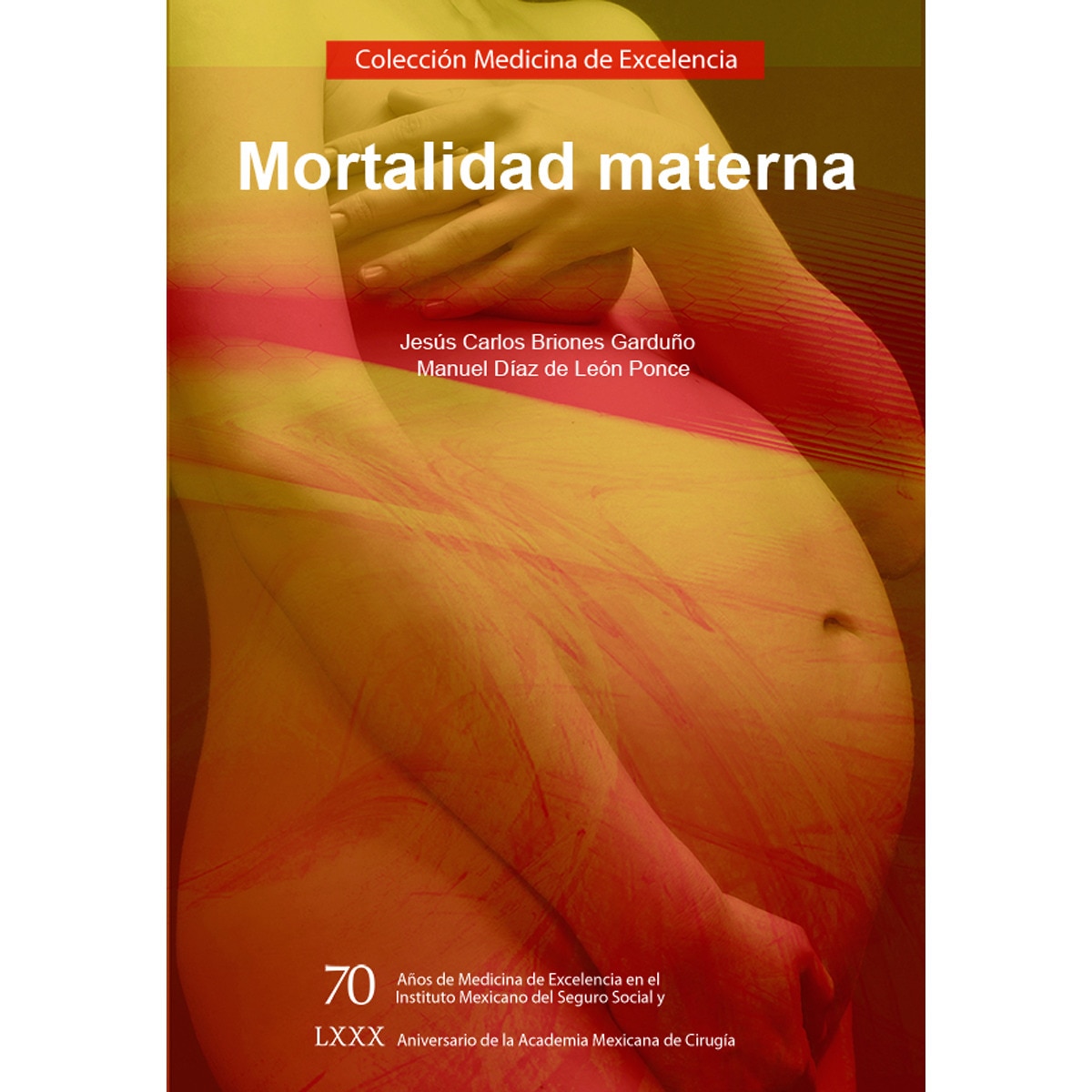 Imagem 0 de Mortalidad materna