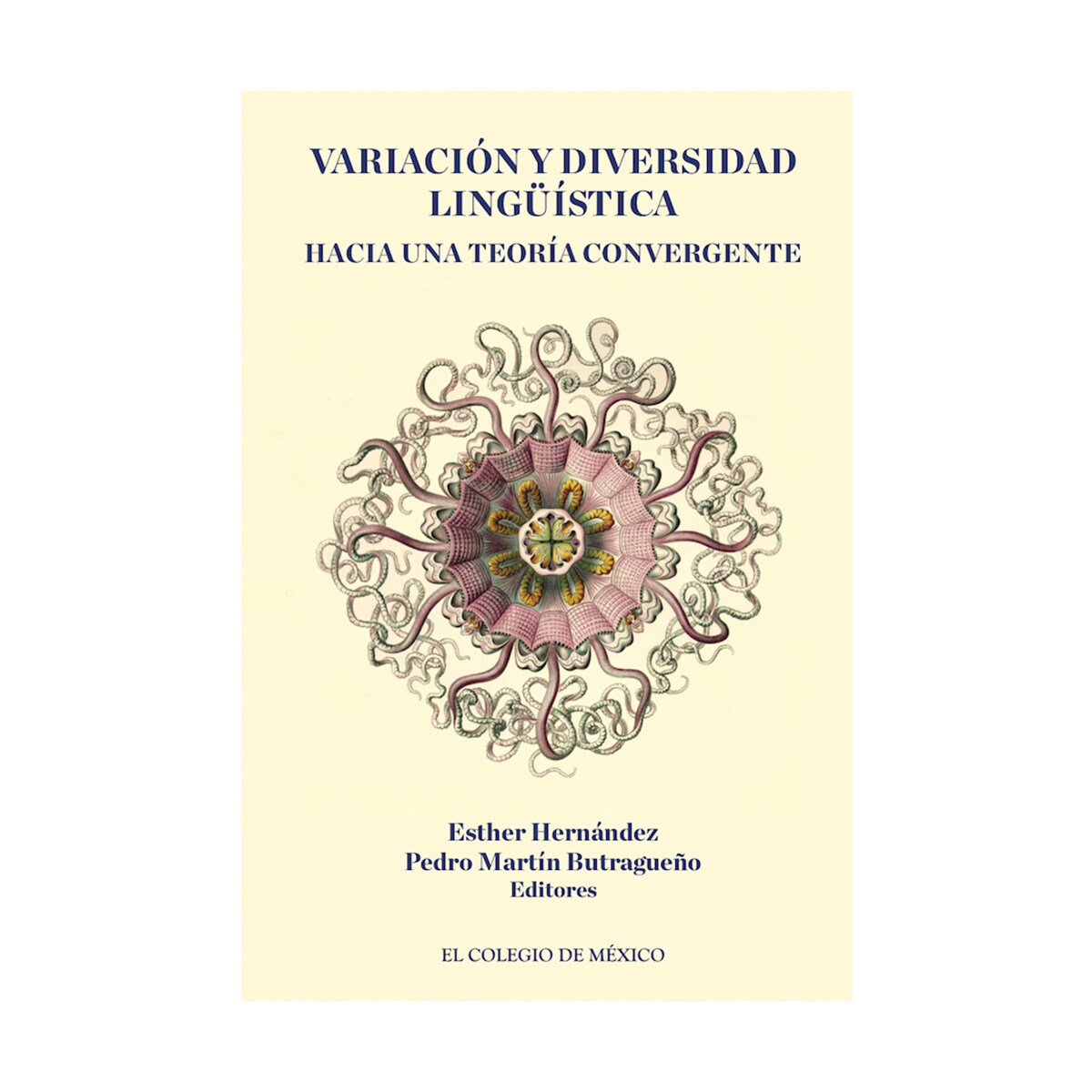 Imagem 0 de Variación y diversidad lingüística: