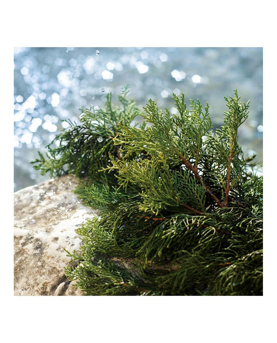 dolce & gabbana k el corte inglés