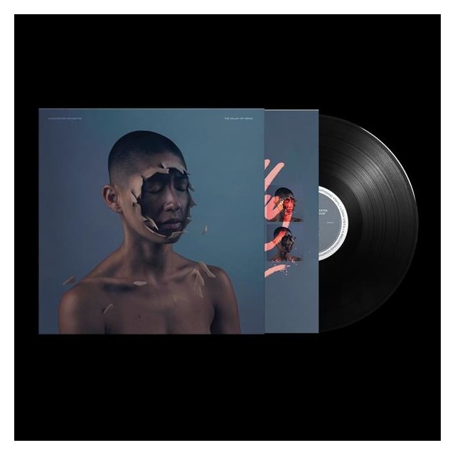 Valley Of Vision (LP) 2