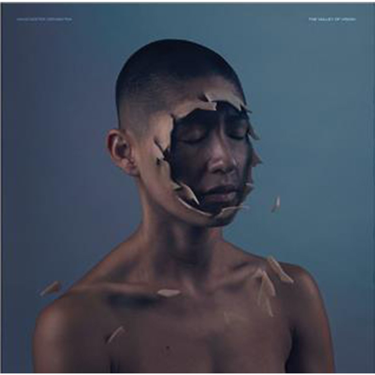 Valley Of Vision (LP) 1