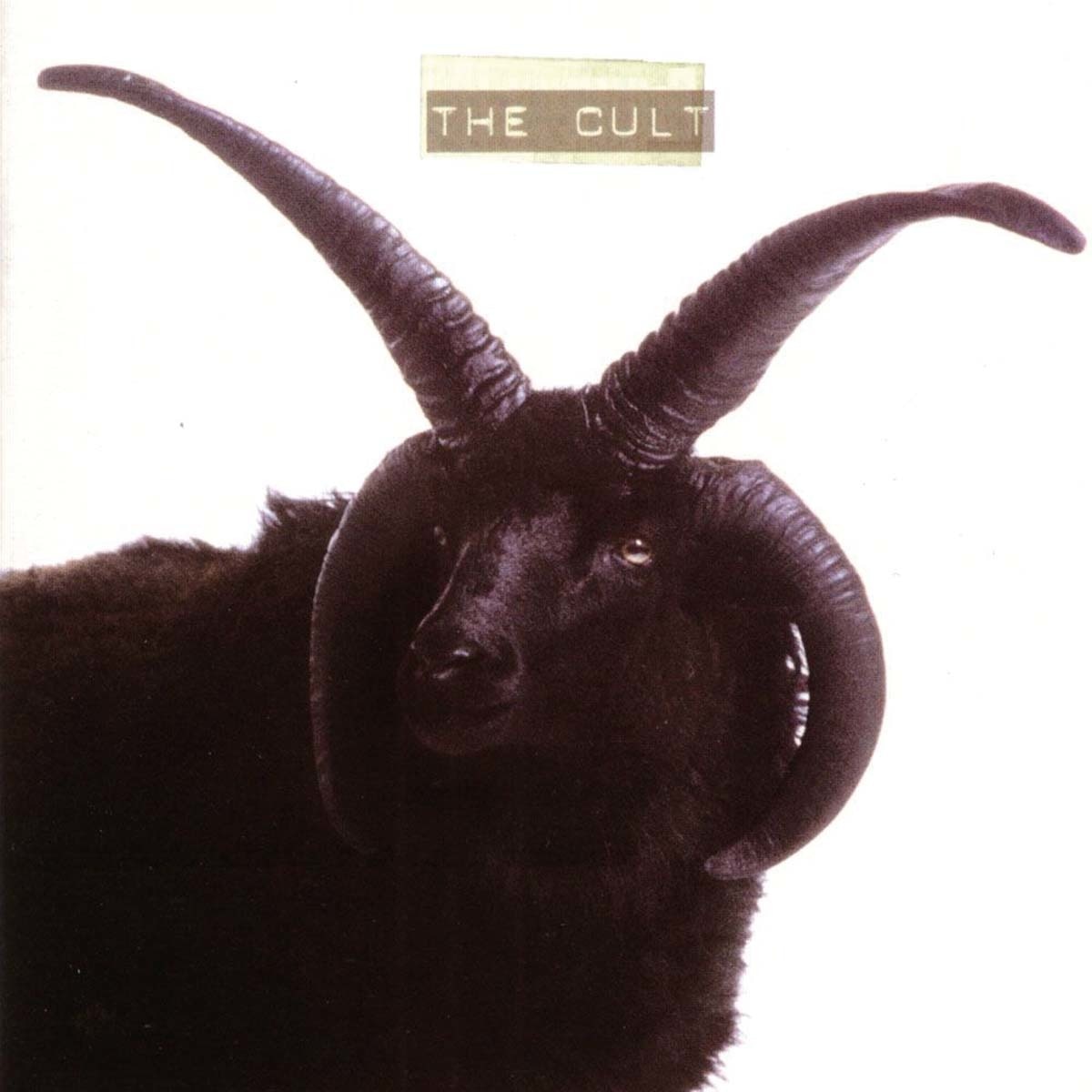Imagem 0 de The Cult (Edição Color) (2 LP-Vinil)