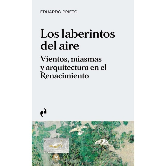 Imagen 0 de LOS LABERINTOS DEL AIRE