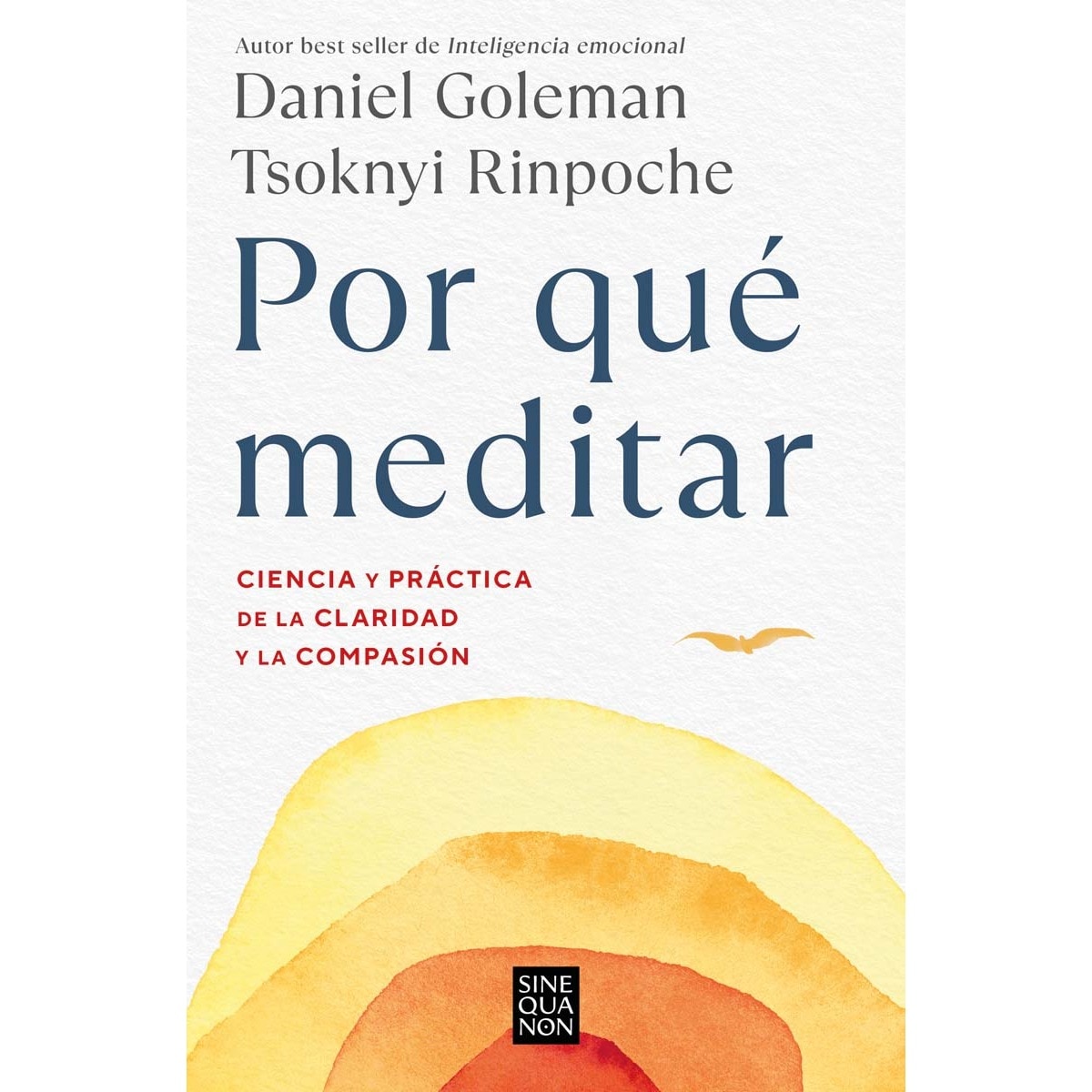 Imagem 0 de Por qué meditar: Ciencia y práctica de la claridad y la compasión (Capa mole)