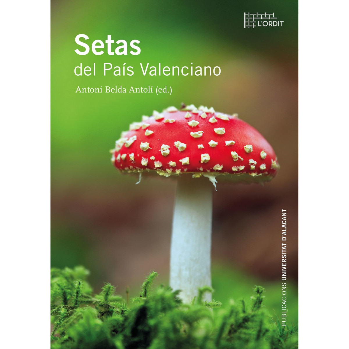 Imagem 0 de Setas del País Valenciano (Capa mole)