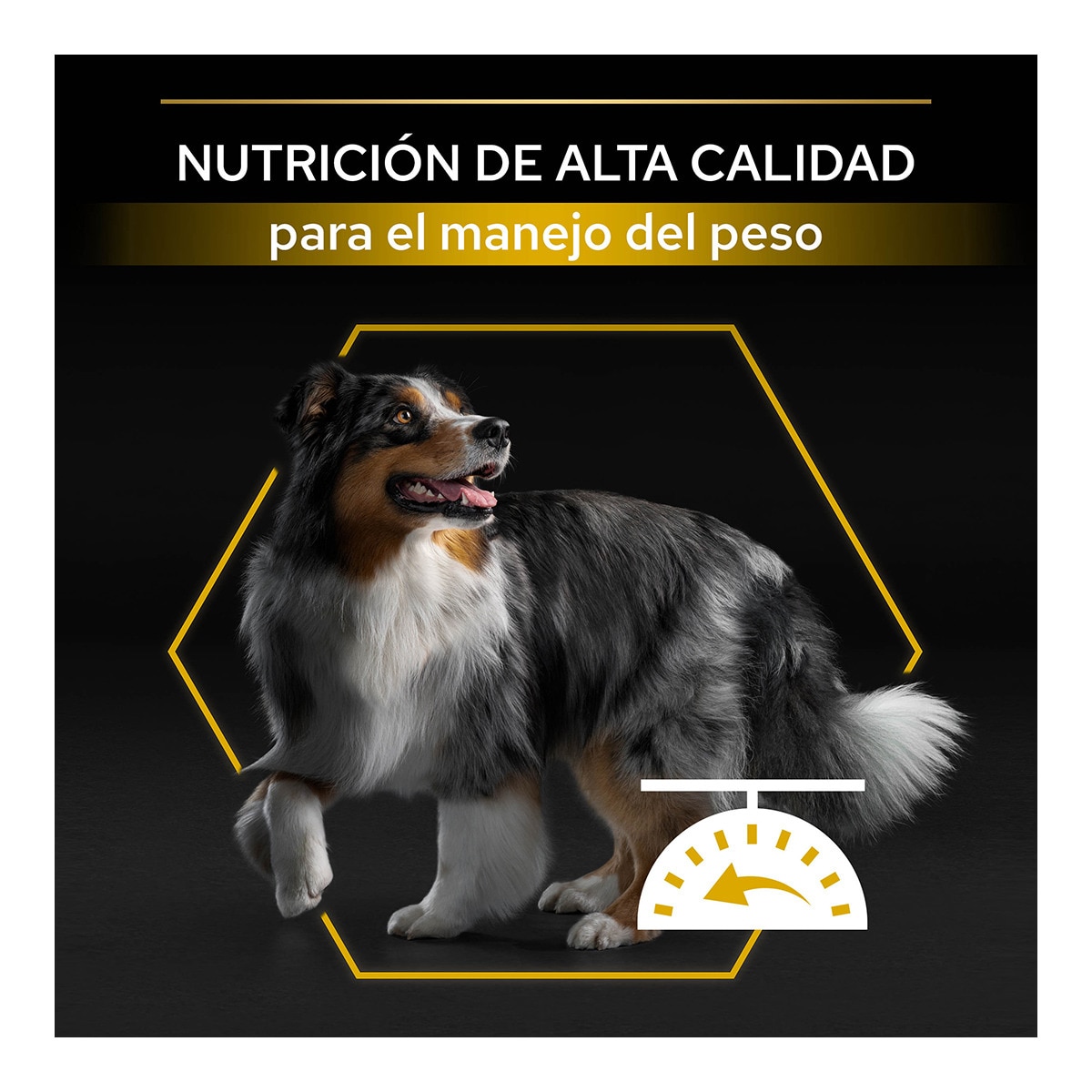 Pienso para perros adultos Purina Pro Plan Light/Sterilised 14 kg 6