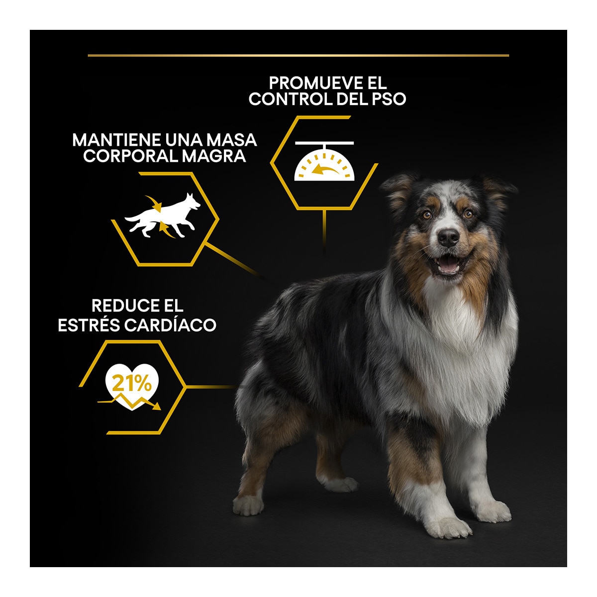 Pienso para perros adultos Purina Pro Plan Light/Sterilised 14 kg 2