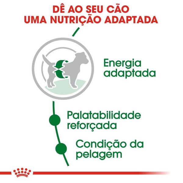 Ração para Cão Mini Adulto a Partir dos 10 Meses até 10 kg embalagem 4 kg
