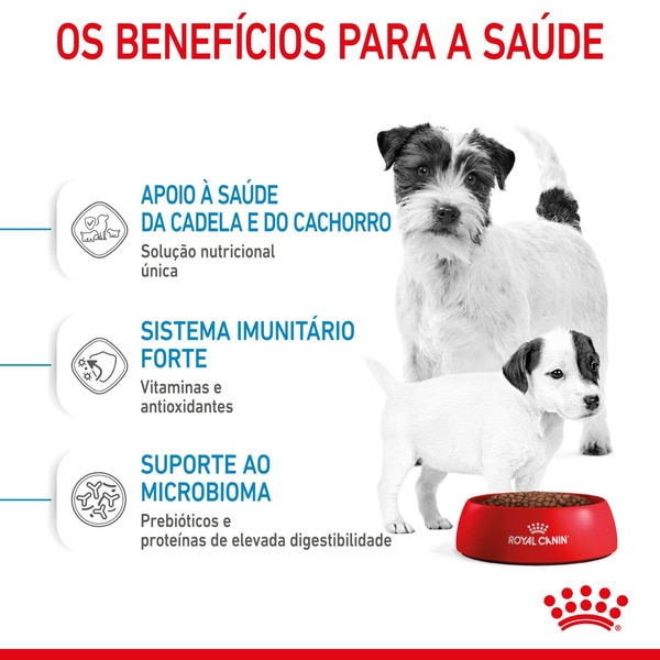 Ração para Cão Adulto Mini Esterilizado até 10 kg embalagem 8 kg