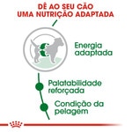 Ração para Cão Mini Adulto a Partir dos 10 Meses embalagem 2 kg