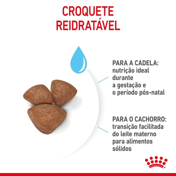 Ração para Cão Mini Starter Mother & Babydog a Partir dos 2 Meses com Mais 10 kg embalagem 4 kg