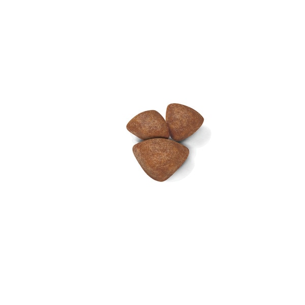 Ração para Cão Mini Starter Mother & Babydog a Partir dos 2 Meses com Mais 10 kg embalagem 4 kg