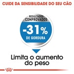 Ração para Cão Mini Junior a Partir dos 10 Meses com Mais de 10 kg embalagem 800 g