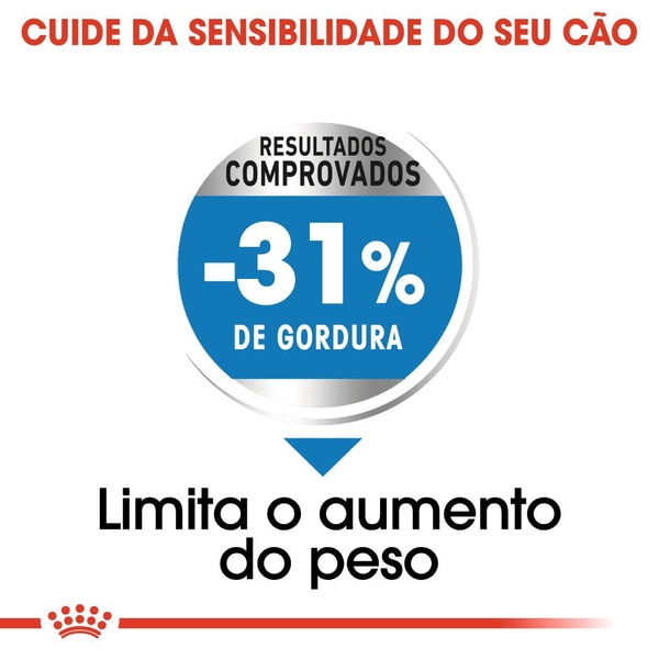 Ração para Cão Mini Junior a Partir dos 10 Meses com Mais de 10 kg embalagem 800 g