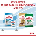 Ração para Cão Mini Junior a Partir dos 10 Meses com Mais de 10 kg embalagem 800 g