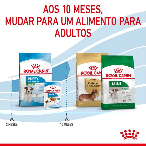 Ração para Cão Mini Junior a Partir dos 10 Meses com Mais de 10 kg embalagem 800 g