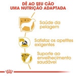 Ração para Cão Yorkshire Terrier Adulto a partir dos 10 Meses embalagem 3 kg