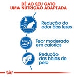 Ração para Gato Indoor embalagem 2 kg