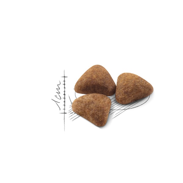 Ração para Gato Indoor embalagem 2 kg