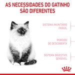 Ração para Gato Kitten a Partir dos 12 Meses embalagem 2 kg