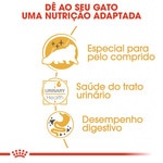 Ração para Gato Adulto Persa a Partir dos 12 Meses embalagem 400 g