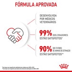 Ração para Gato Mother & Baby Cat embalagem 2 kg