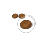 Ração para Gato Hair & Skin Care embalagem 400 g