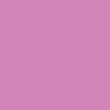 Marzipan 504
