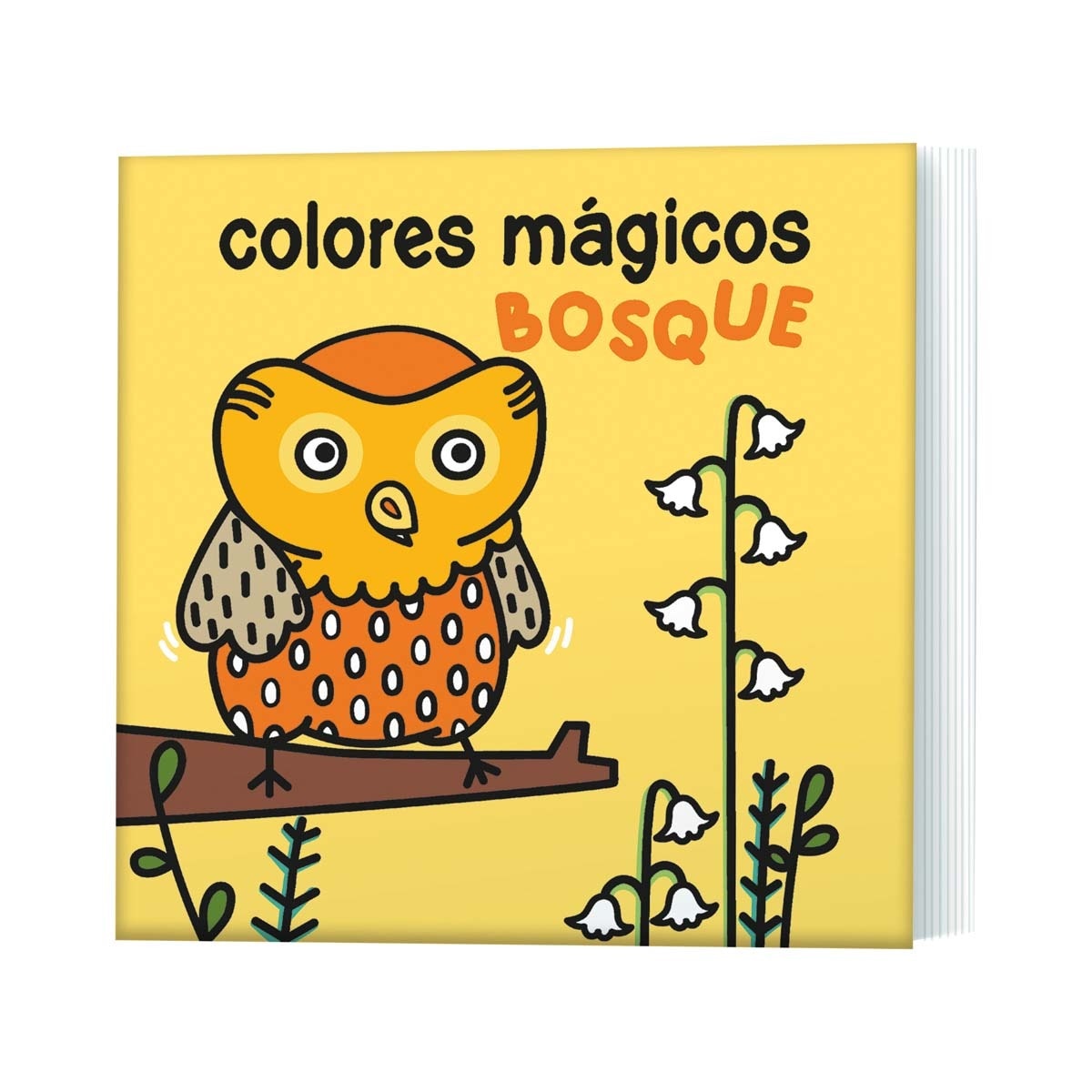 Colores mágicos bosque 1