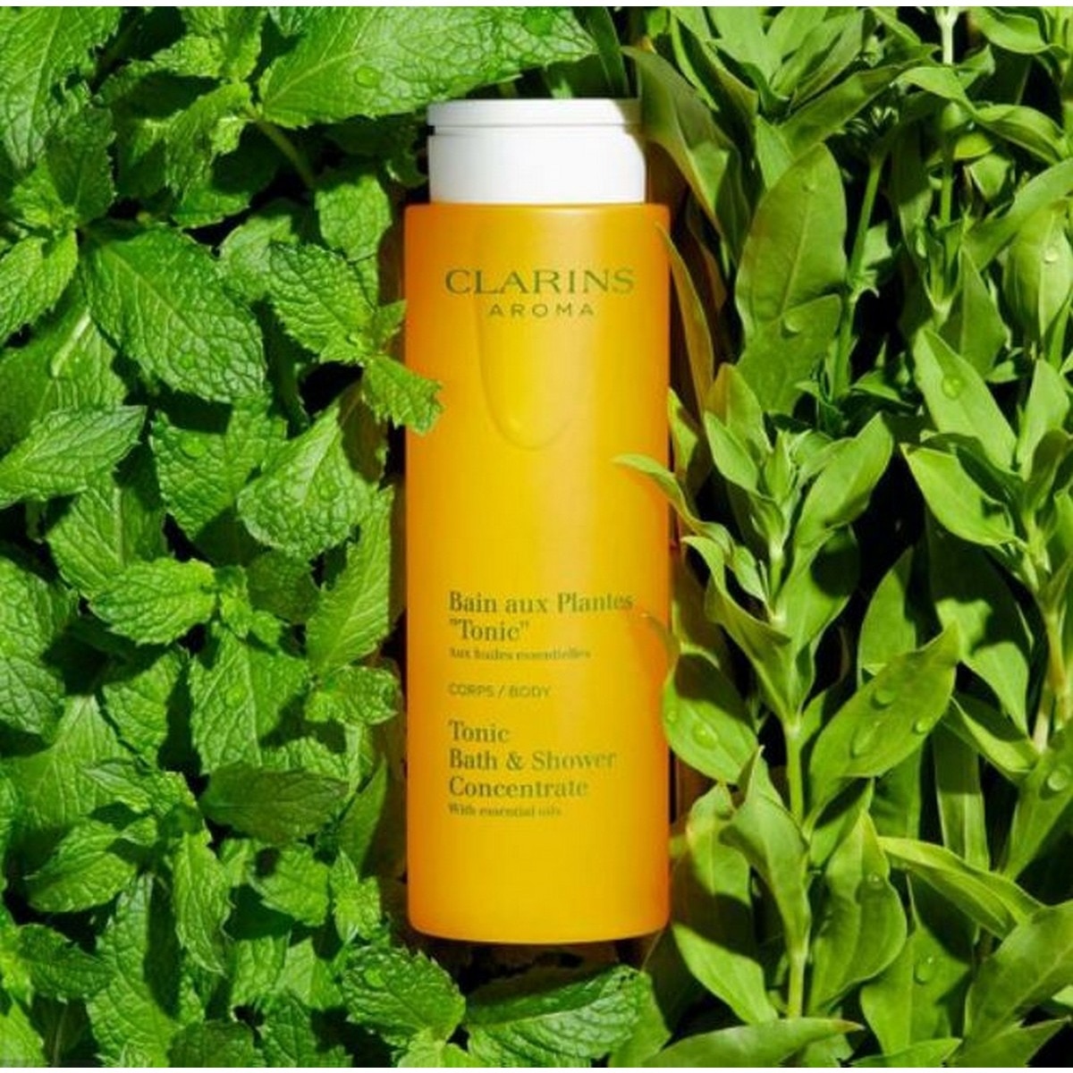 Gel Duche Bain aux Plantes "Tonic" - 200 ml 4
