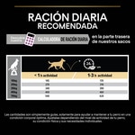 Age Defence Trockenfutter für Senior-Hunde mittlerer und großer Größe mit Huhn Tasche 3 kg