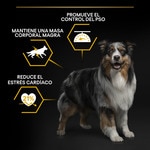 Light pienso para perros adultos esterilizados con pollo saco 14 kg
