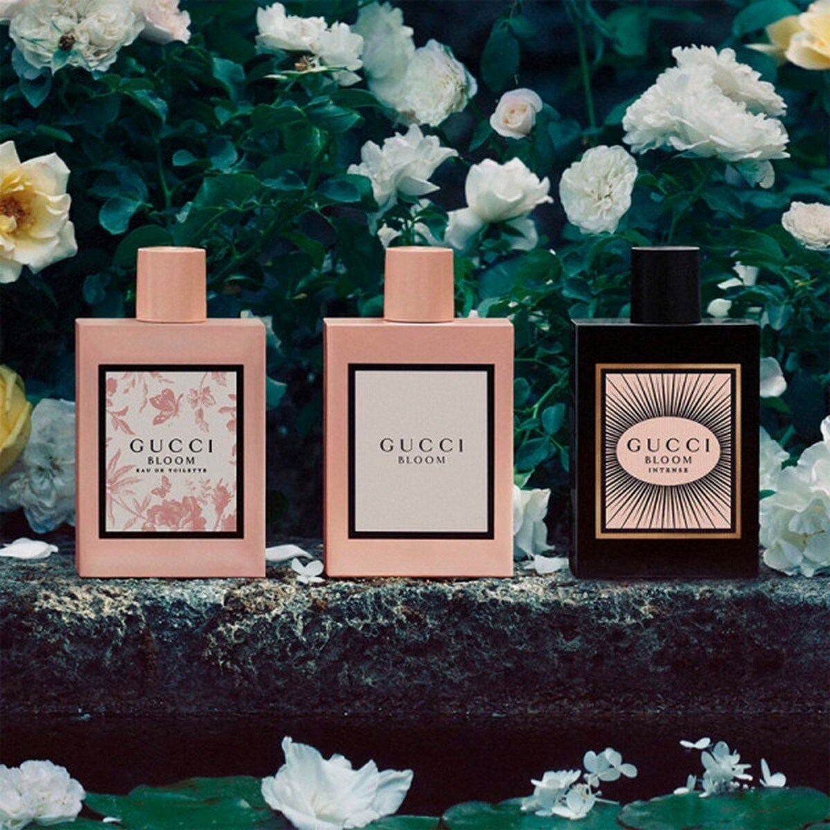 Gucci Bloom Intense Eau de Parfum Intense - 50 ml 4