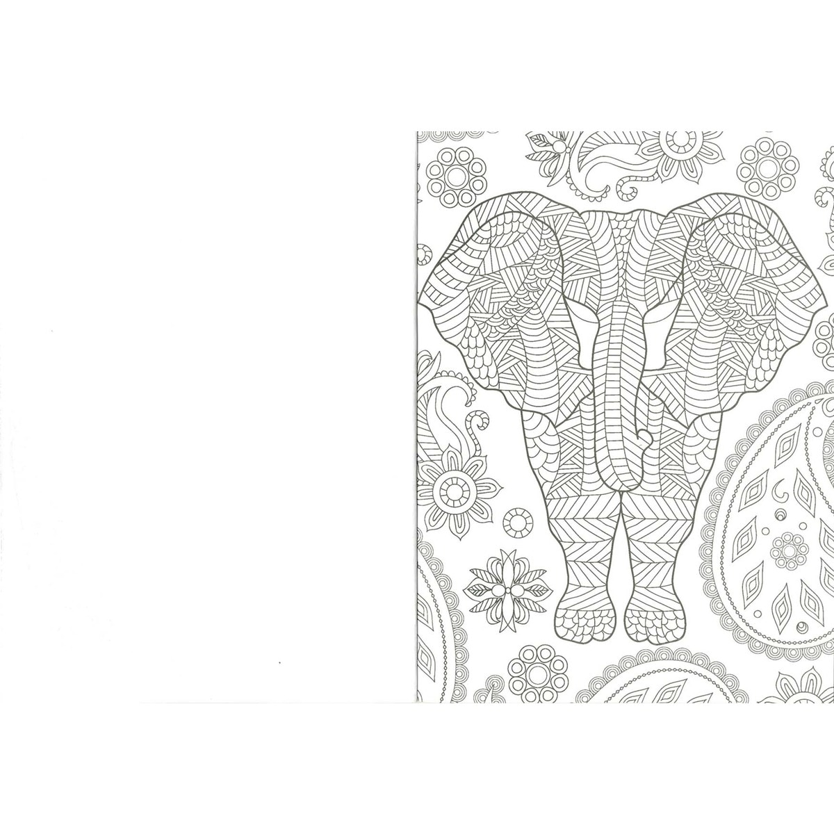 ANIMALES (Capa mole) 2