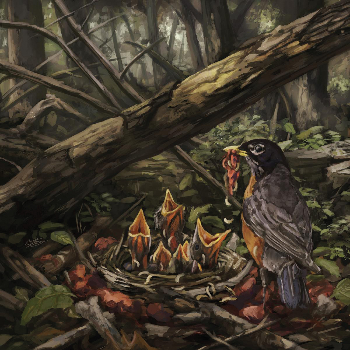 Imagem 0 de Step Into The Light (Edição Color) (LP-Vinil)