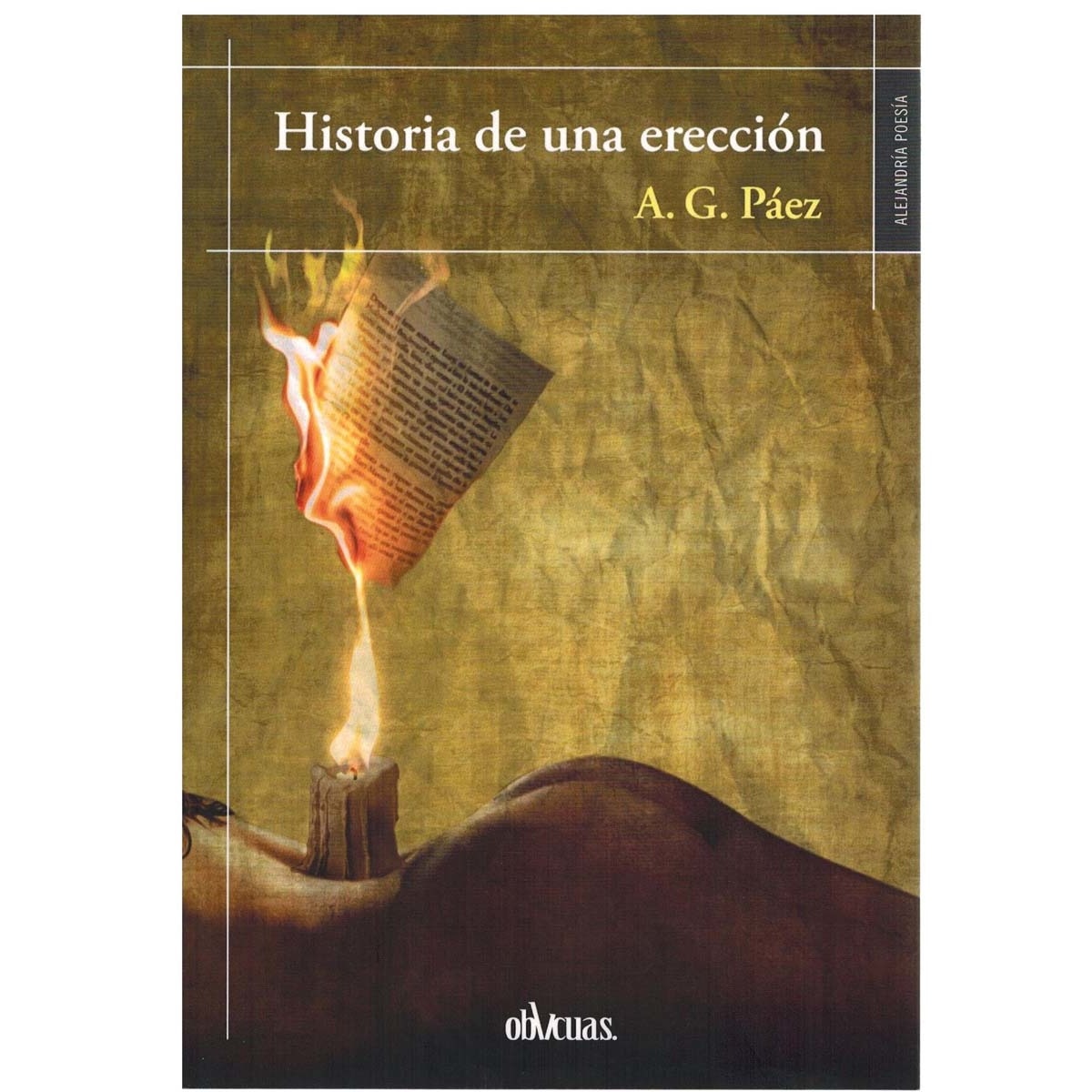 Imagem 0 de HISTORIA DE UNA ERECCIÓN