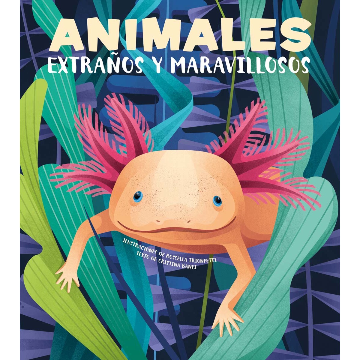 Imagem 0 de Animales extraños y maravillosos (VVKIDS) (Capa dura)