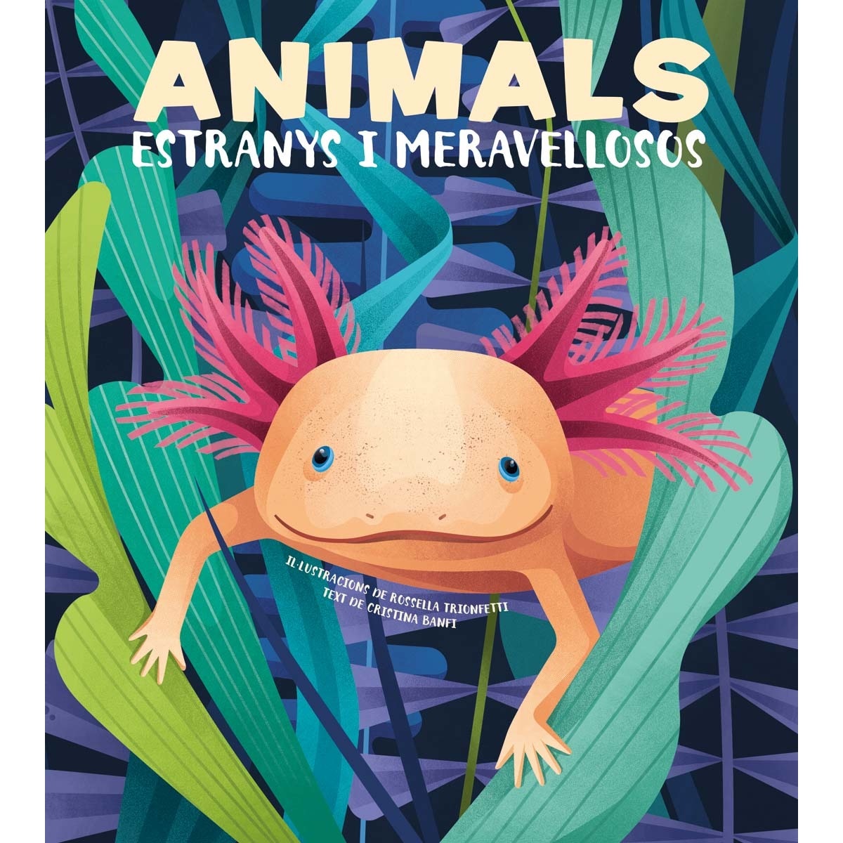 Imagem 0 de ANIMALS EXTRANYS I MERAVELLOSOS (VVKIDS) (Capa dura)