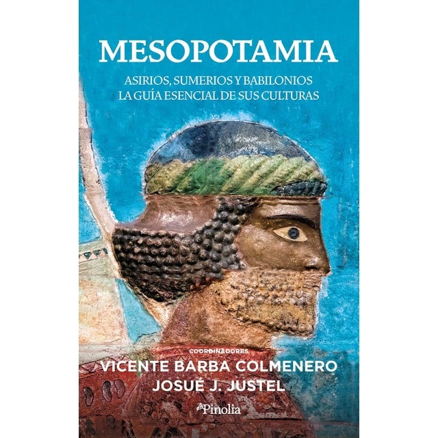 Imagen 0 de Mesopotamia: Asirios, sumerios y babilonios: la guía esencial de sus culturas  (Tapa blanda)