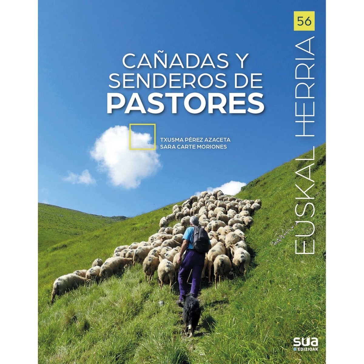 Cañadas y senderos de pastores (Capa mole) 1